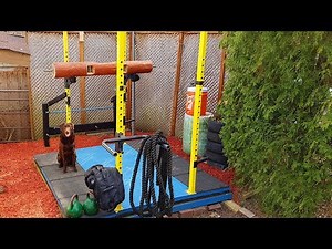 Awesome Backyard Gym Set-up and Weightlifting Platform DIY