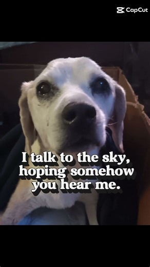 the hardest thing I had to do was letting go of you these are the memories I had with you