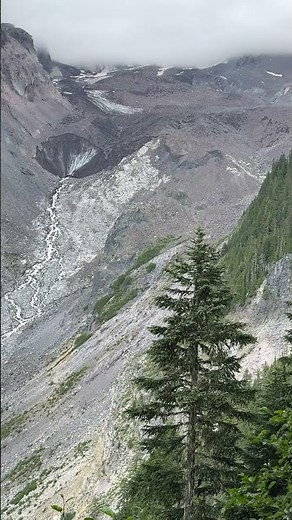 Paradise in Mt Rainier National Park