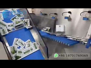 4 sides sealed sachets automatic sorting counting and carton box packaging line