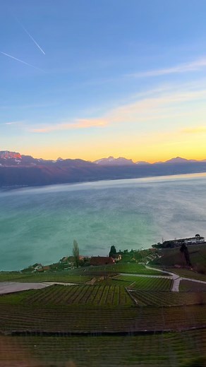 スイスとフランス国境を越えた卒業旅行：レマン湖と春休みの思い出