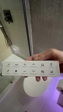 Swan Toilet Smart Bidet Review/Demo!
