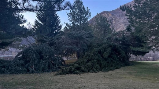 Video shows damage left behind at Springville golf course after powerful windstorm