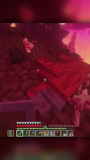 It's LITERALLY an angry koala-thing 😂 #shorts