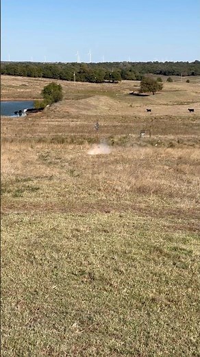 Pumpkin vs 1/2 ibs of Sonic Boom 💥 Binary Explosive target.