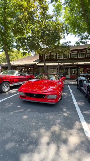 🇮🇹🌴 Ferrari 348 GTS — The ultimate bridge between classic analog driving and modern performance!