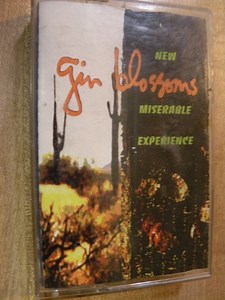 Gin Blossoms - New Miserable Experience