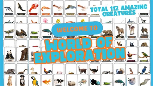 Flash Cards for Kids, Digital Product, Animal Names and Pictures, Printable Flashcards, - Etsy