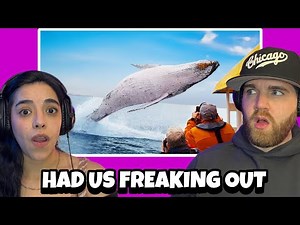 Craziest Animal Encounters of All Time | PEOPLE NEED TO LEAVE THESE ANIMALS ALONE LOL |Reaction