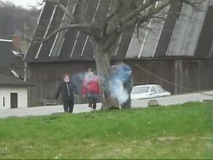 Lustiges Baum fällen Funny tree cut