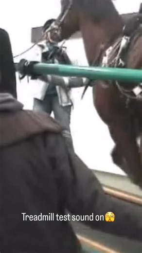 @leczenie_koni_blanka_wysocka on Instagram: "Badanie wysiłkowe z endoskopią na bieżni jeszcze w klice koni SGGW, badanie obserwują dr Sikora i Profesor Kłos. Stare dobre czasy. Moje dzielne dziewczyny które pomagały mi w tych badaniach. Atmosfera jak na wyścigach 🤭. Treadmill exercise testing with endoscopy, still at the SGGW equine clinic, observed by Dr. Sikora and Professor Kłos. The good old days. My brave girls who helped me with these tests. An atmosphere like at the races 🤭