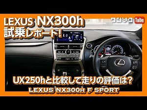 Lexus NX300h Test Drive Report! How does it compare to the UX250h? | LEXUS NX300h F SPORT TEST DR...