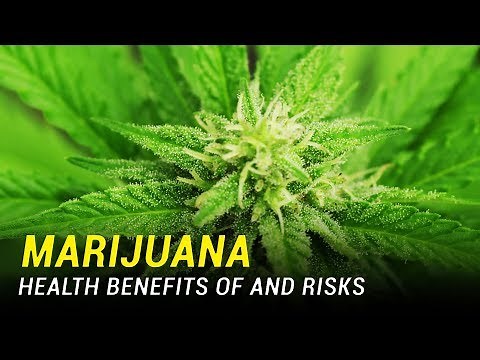 Marijuana: Health Benefits and Risks