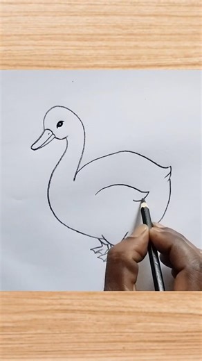 How to draw duck drawing easy step by step