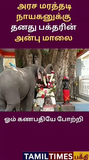 🐘🌺 அரச மரத்தடி நாயகனுக்கு பக்தரின் அன்பு மாலை | ஓம் கணபதியே போற்றி 🙏✨