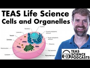 TEAS Life Science: Cells and Organelles Podcast