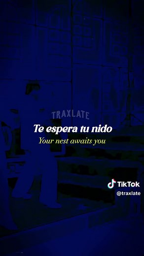 Los Bukis: Yo Te Necesito - Letras y Traducción