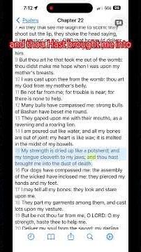 Psalms 22 https://youtube.com/playlist?list=PLPUpauD4SxSrIY-vZSppLBAQEkp9fqUJ8&si=r7821ehDoqyGUhwu ￼