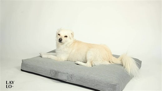 LAY LO's stylish dog beds blend in with any decor while giving your pets the orthopedic comfort they need for a good night's rest. Each bed features a machine-washable knitted cover, non-slip bottom, portable handle and accident-resistant orthopedic insert. Limited edition collections are released quarterly, giving you the ability to swap your dog bed cover as often as you'd like.