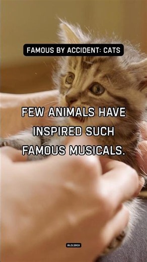 Cats have starred in Broadway shows. Few animals have inspired such famous musicals.