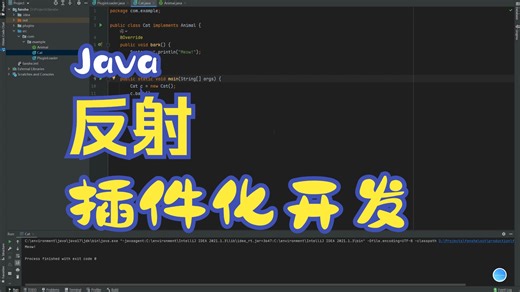 Java 反射与插件化开发