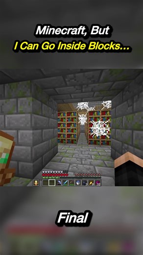 Minecraft Challenge: Going Inside Blocks (Final Part)
