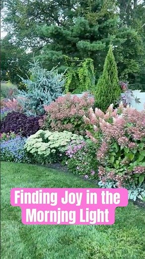Finding Joy in the Morning Light | Peaceful Garden Moments