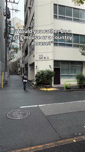 would you rather be a city mouse or a country mouse?" -Reze #chainsawman #reze