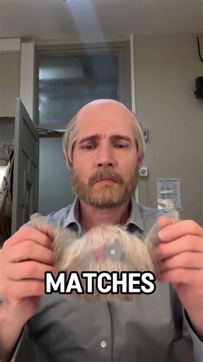 Spy’s Disguise Beard & Wig Stacking