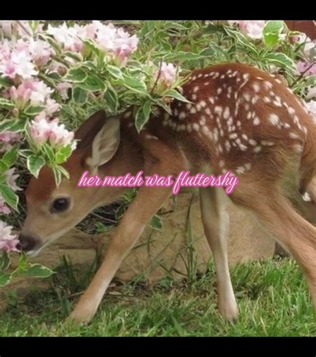 Fluttershy: Exploring My Little Pony's Gentle Spirit