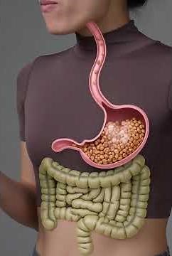 How Your Body Digests Food in Seconds!