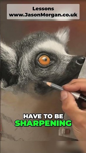 pastel painting lesson - paint animals