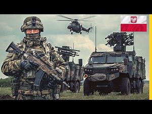 Review of All Polish Armed Forces Equipment / Quantity of All Equipment