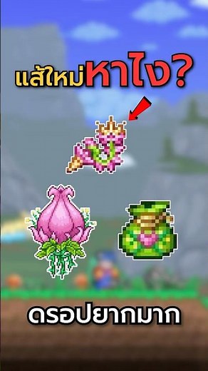 9 New Whips: How to Find/Craft — All in One Video❗ | Terraria 1.4.5