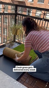 Living in the city with your dog? Make potty breaks easier & more frequent with these real grass patches for dogs of all sizes! Perfect subscription for inside an apartment or on a balcony to help with training and life’s busy days. 🌱 Real green grass for potty trips & training 🗓️ Flexible subscription options to fit your schedule 😊 Neutralizes odors, sort of like a cat litter 🏙 Ideal for apartment living 🌧 Perfect on rainy days 🦴 Starts at just $32.20 | DoggieLawn