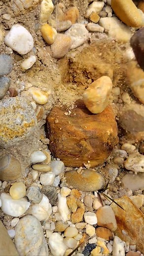 3.8K views · 27 reactions | digging up fossilized rocks that are millions of years old #diamond #crystals #gemstones #fossils | Yendri Oktaviandi | Facebook