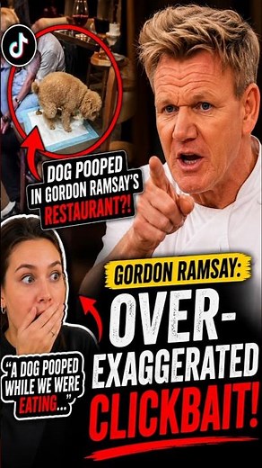 Gordon Ramsay Responds to Viral “Dog Poop” Restaurant Drama 😳 #viral #trending #viralvideo
