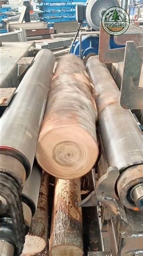 Amazing Wood Peeling Machine Removing Bark in Seconds! 🌲 #shorts