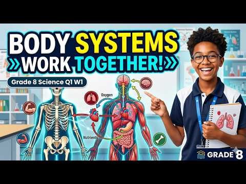 Grade 8 Science Q1 Week 1: How Body Systems Work Together | Human Body Systems Explained