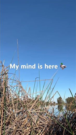 Been stressed… need this 😩