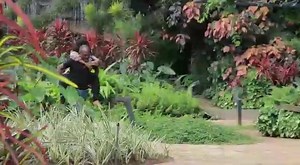 Aromatic as usual we promise and deliver to satisfactory, HOPE is the new movie u should look for.....we never disappoint. Kasukali keko oba? | Aromatic Entertainment