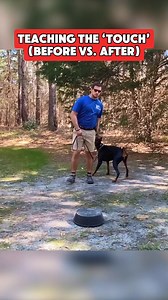 Teaching your dog to use a touch pad can be a great way to mentally stimulate your dog! Get out and train! ☀️👟🐶 full training videos of touch pad training available on our YouTube channel 🔥 #dogs #dogtraining #dogtrainer #dogtrainingtips #dogtrainingadvice #doberman #dobermanpinscher #mentaltraining | Canine Revolution Dog Training