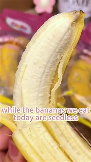 How to use compound fertilizer