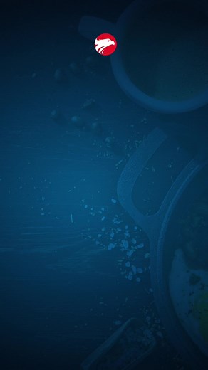 Wizard by Pearson no TikTok