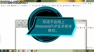 在电脑上怎样用上deepseek？UP主手把手教你