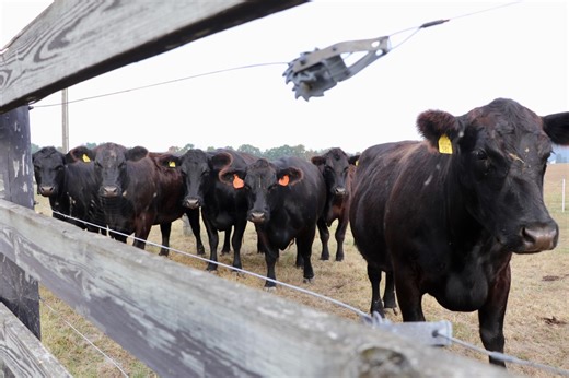 Pennsylvania purchases development rights for 24 farms