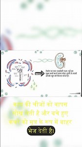 Master LIFE PROCESSES in Just 10 Minutes Daily