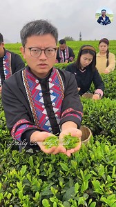 Tea picking Talent 🤪🤯😂🤣😅😛Funny Moments |Watch Till End..😂🤣🤣🤣 #video #funnyvideo #trendingvideo #comedyvideo #reels #reelsfb #reelsviralfb #funny #reelsfbviral #viral #fbreels #comedy #reelsvideos #trending #comedyreels #funnyfrank | Daily Comedy Club