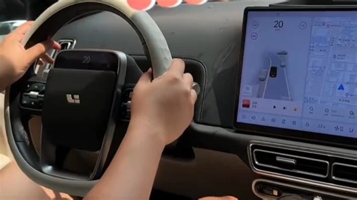 雷克沙（Lexar）128GB_USB3.2_行车记录车载U盘C50V_哨兵模式U盘_循环录像Type-C贴合车机_理想极氪奔驰多车型适配_1