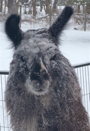 Entdecken Sie das winterliche Wetter in Michigan